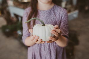 
                  
                    Load image into Gallery viewer, Harvest Festival Tickets ~ 20th September - 12pm - 4pm
                  
                