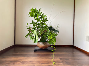 
                  
                    Load image into Gallery viewer, 20th April ~ Master Ikebana Class hosted by Erika Mikazuki
                  
                