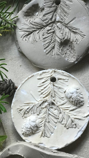 
                  
                    Load image into Gallery viewer, Botanical Cast Workshop ~ Christmas 2025
                  
                