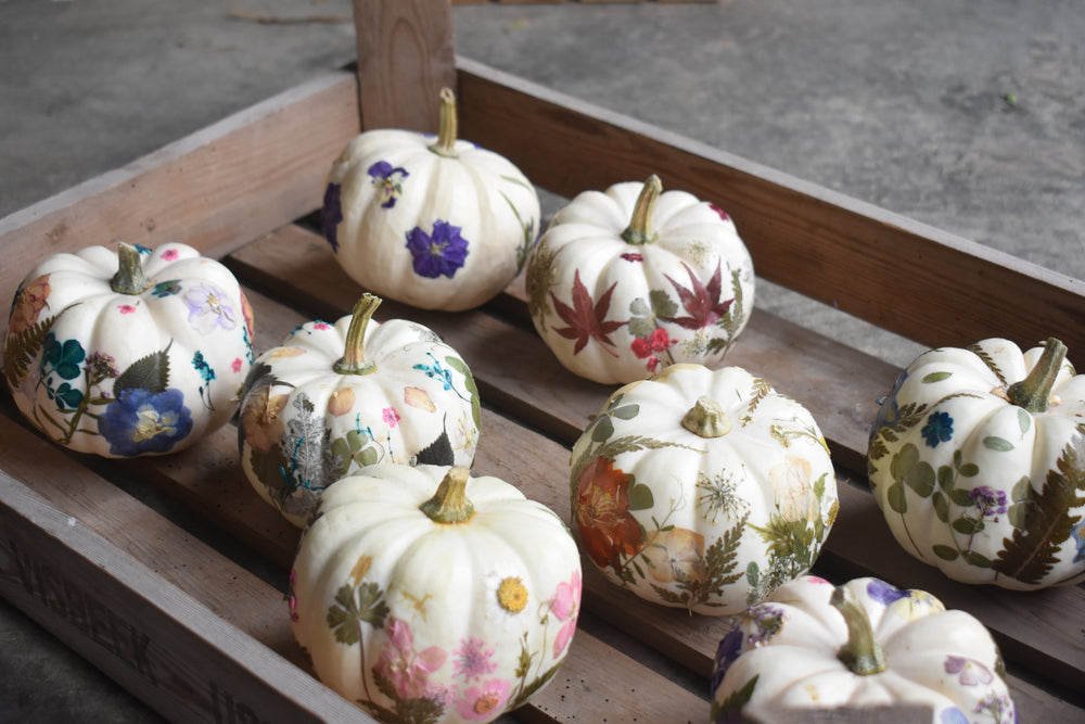 
                  
                    Load image into Gallery viewer, &amp;#39;Pop in or take away&amp;#39; mini PYO flower press workshop
                  
                