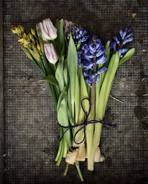 
                  
                    Load image into Gallery viewer, Harvest Festival Tickets ~ 20th September - 12pm - 4pm
                  
                