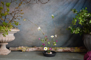 
                  
                    Load image into Gallery viewer, Saturday 31st May  ~ Master Ikebana Class hosted by Erika Mikazuki
                  
                