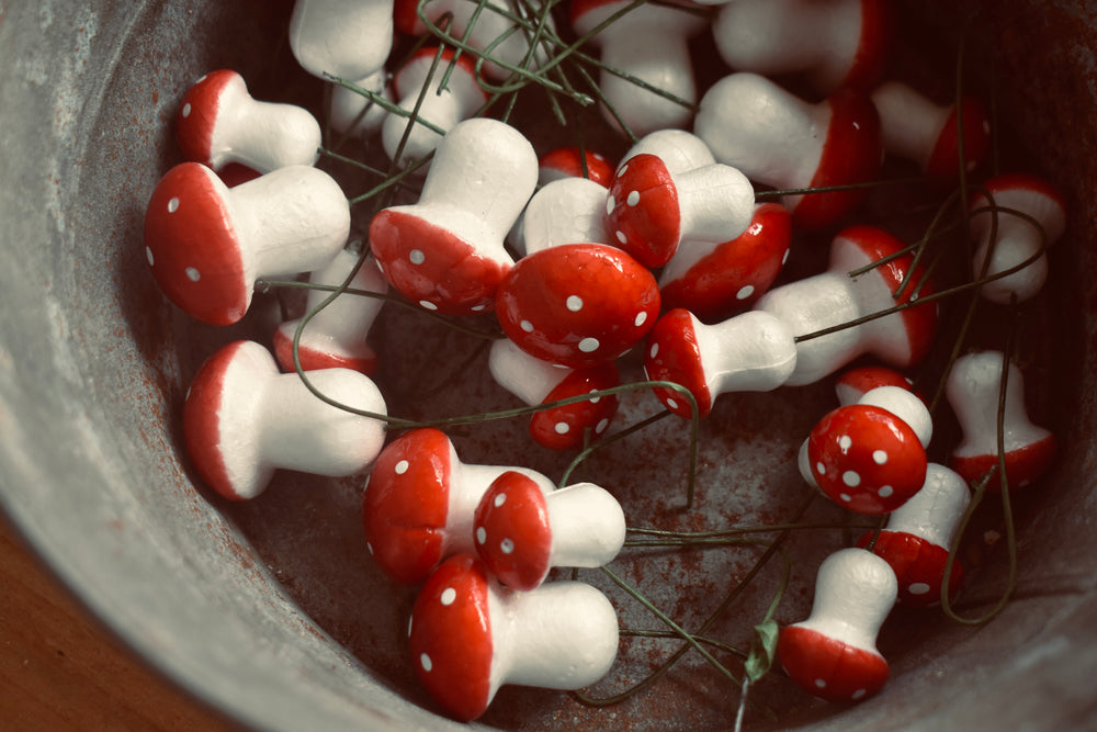 
                  
                    Load image into Gallery viewer, &amp;#39;plant your own&amp;#39;  Bulb Bowl
                  
                