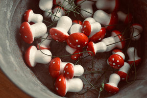 
                  
                    Load image into Gallery viewer, &amp;#39;plant your own&amp;#39;  Bulb Bowl
                  
                