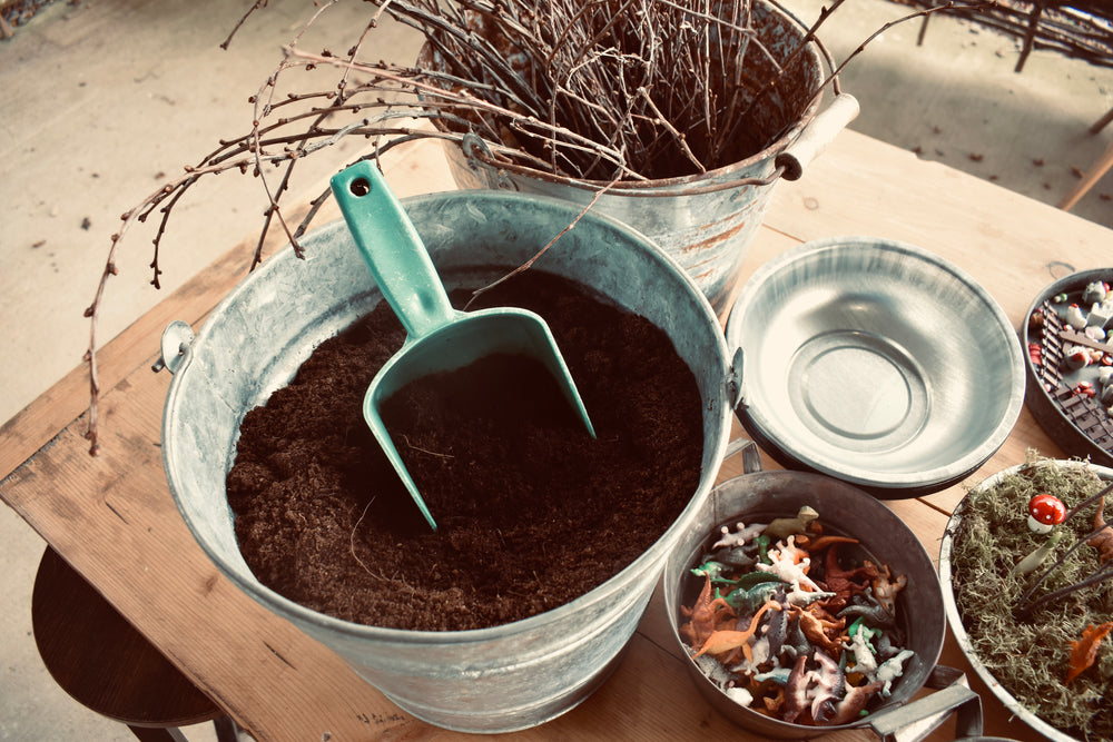 
                  
                    Load image into Gallery viewer, &amp;#39;plant your own&amp;#39;  Bulb Bowl
                  
                