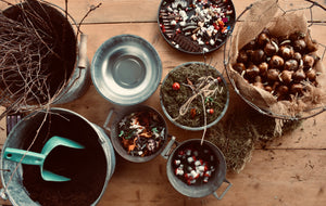 
                  
                    Load image into Gallery viewer, &amp;#39;plant your own&amp;#39;  Bulb Bowl
                  
                
