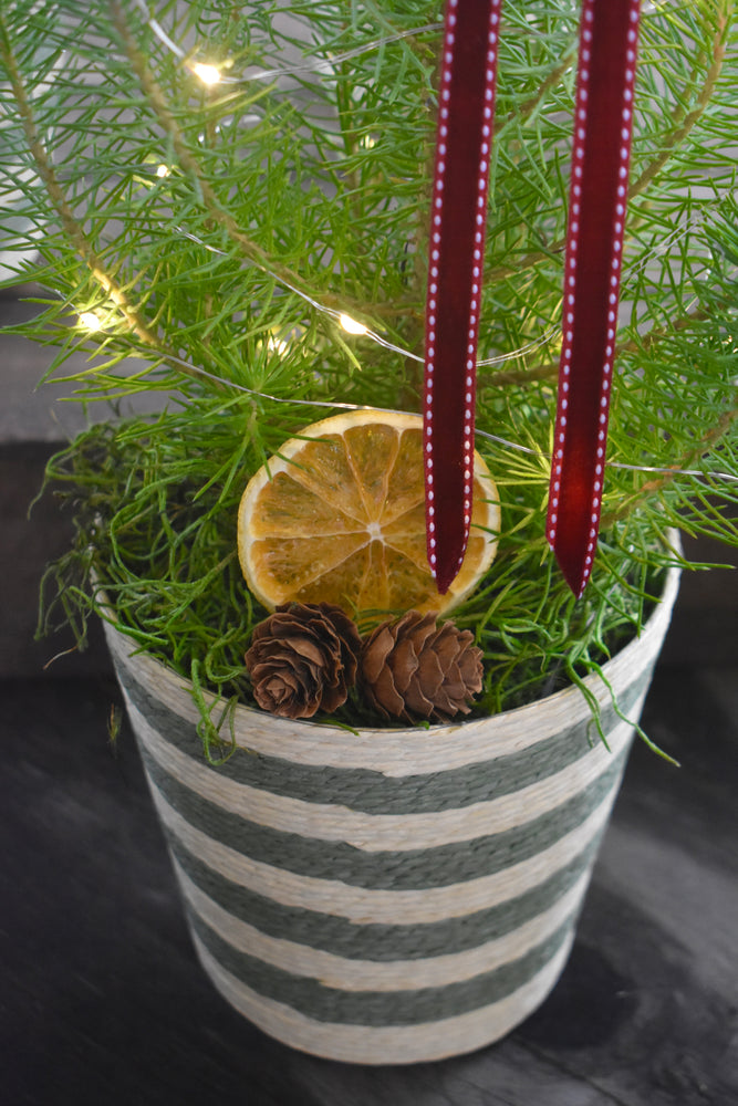 
                  
                    Load image into Gallery viewer, Decorative Mini Christmas tree
                  
                