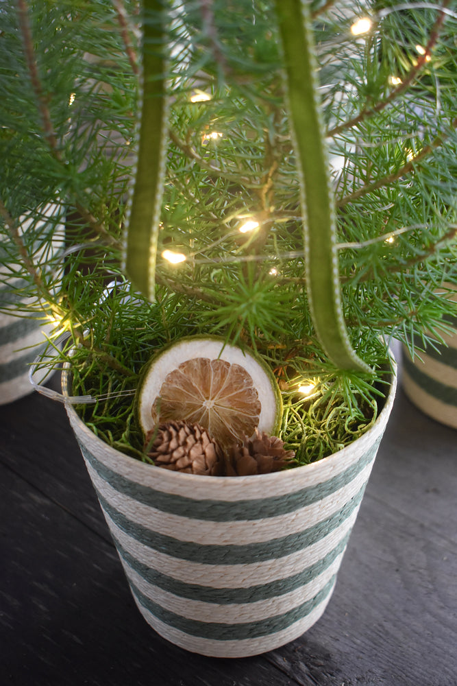 
                  
                    Load image into Gallery viewer, Decorative Mini Christmas tree
                  
                