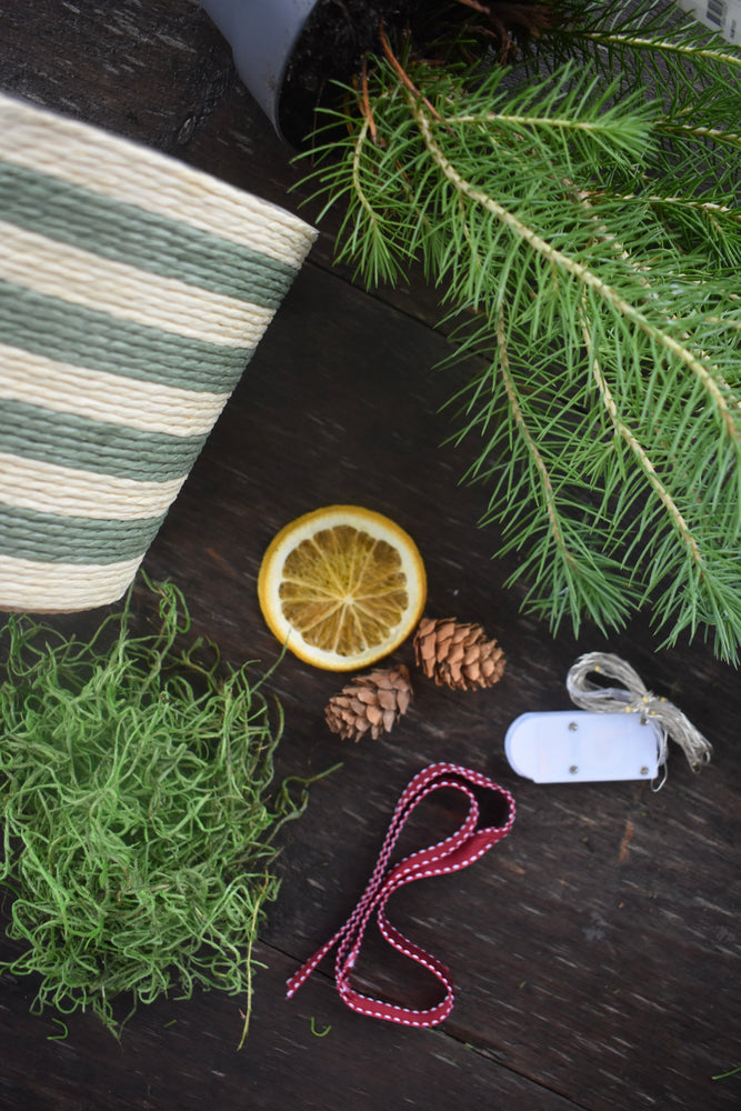 
                  
                    Load image into Gallery viewer, Decorative Mini Christmas tree
                  
                