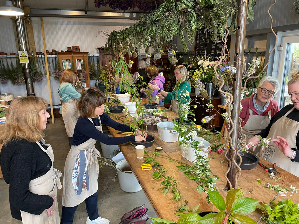 
                  
                    Load image into Gallery viewer, Saturday 31st May  ~ Master Ikebana Class hosted by Erika Mikazuki
                  
                