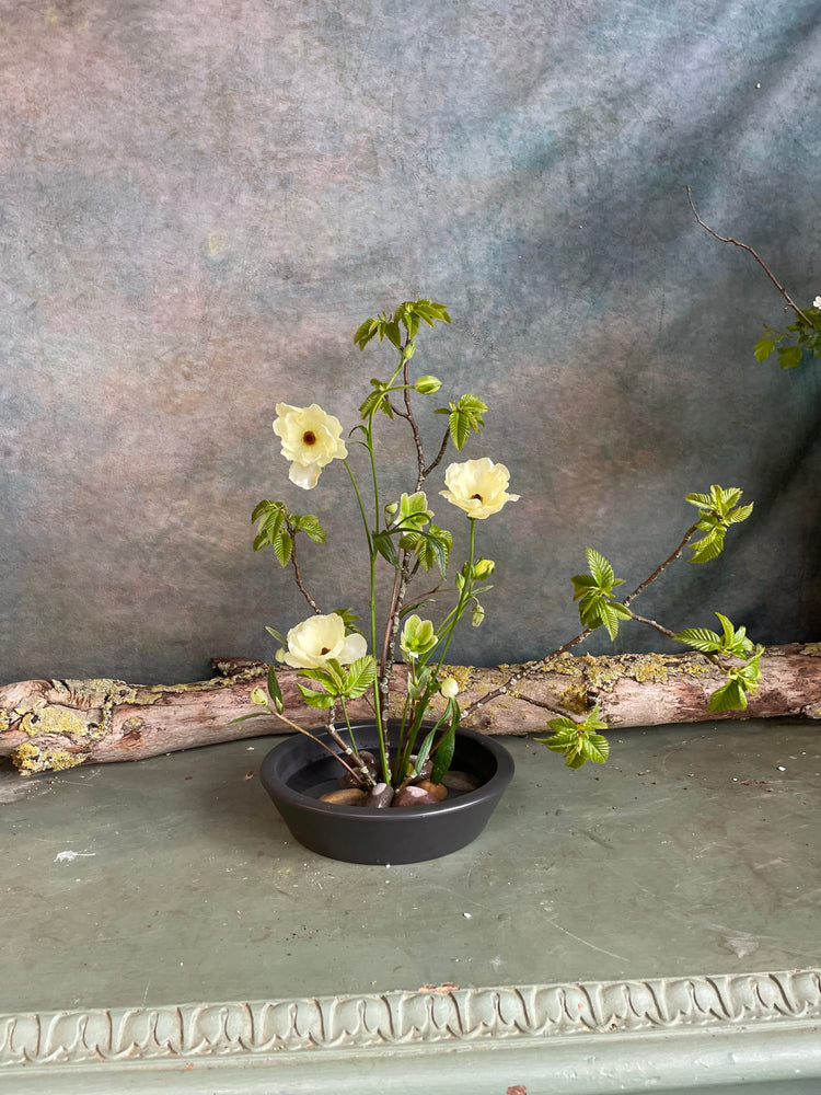 
                  
                    Load image into Gallery viewer, Saturday 31st May  ~ Master Ikebana Class hosted by Erika Mikazuki
                  
                