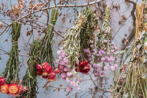 
                  
                    Load image into Gallery viewer, Saturday 26th October ~ &amp;#39;Everlasting wreath&amp;#39; Workshop 2024
                  
                